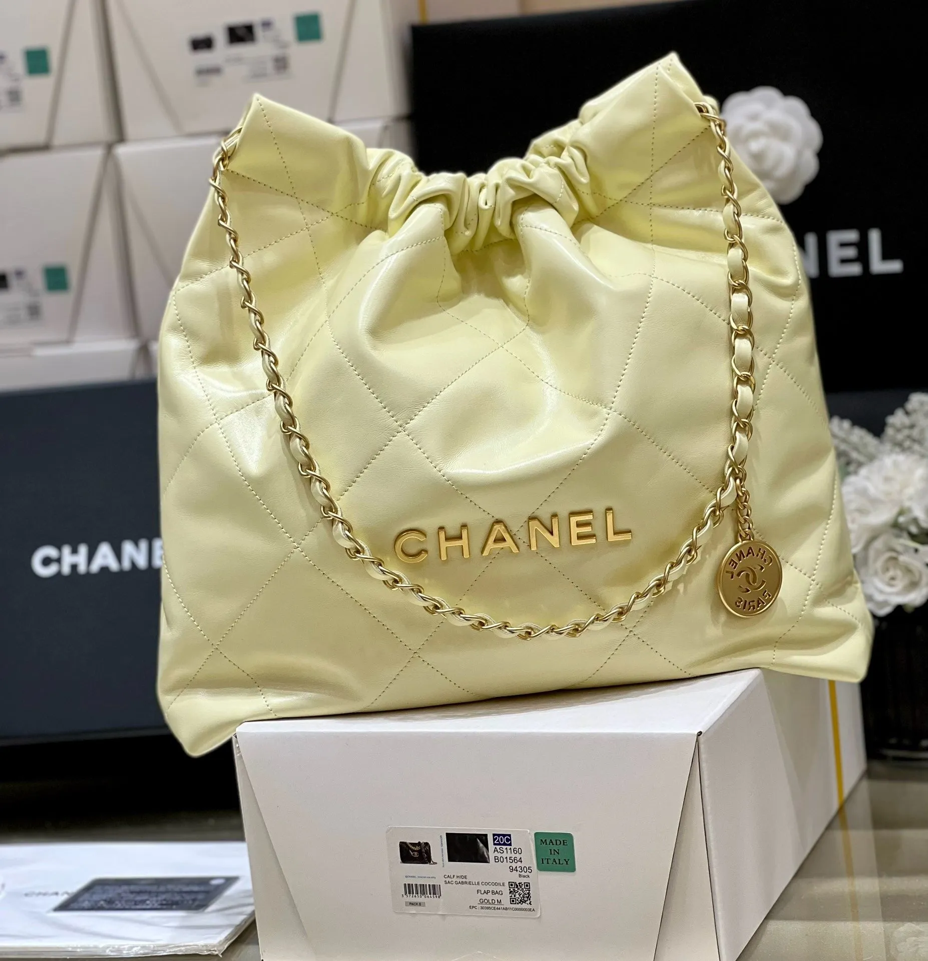 CC875 CHANEL 22 Bag / HIGHEST QUALITY VERSION / Small/Medium