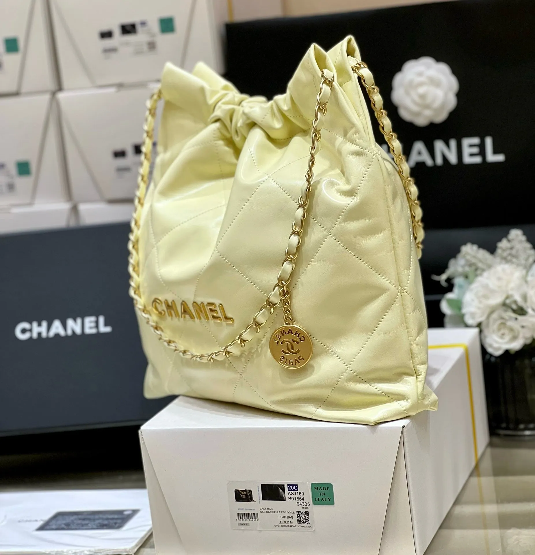 CC875 CHANEL 22 Bag / HIGHEST QUALITY VERSION / Small/Medium