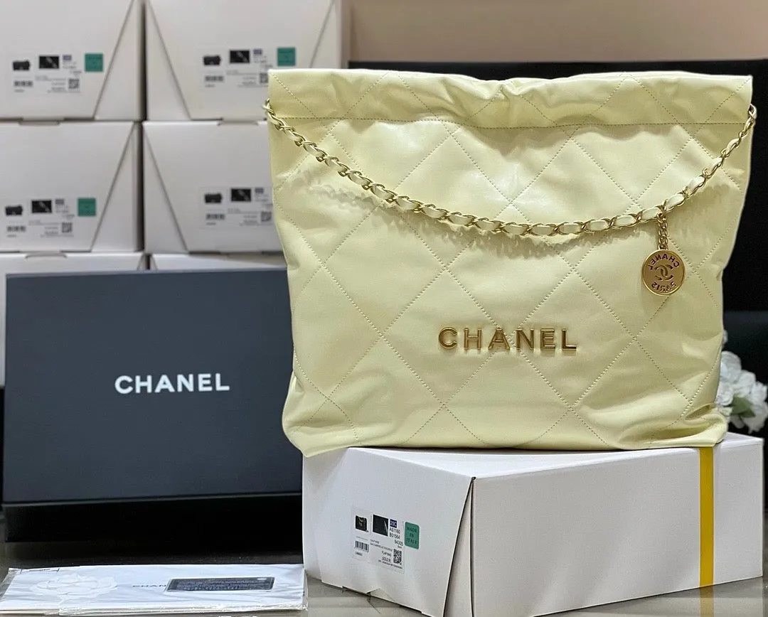 CC875 CHANEL 22 Bag / HIGHEST QUALITY VERSION / Small/Medium