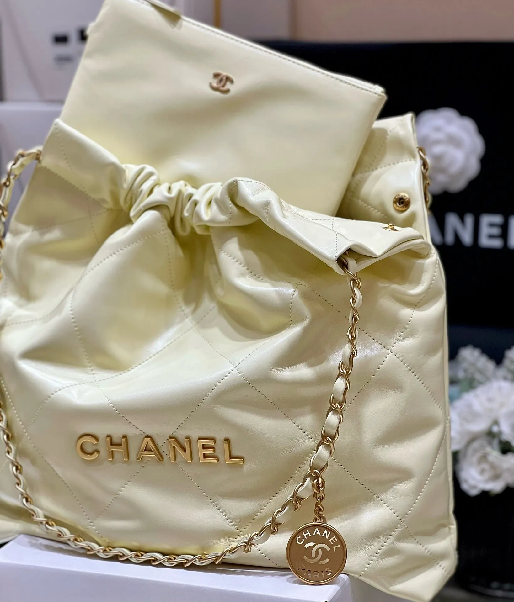 CC875 CHANEL 22 Bag / HIGHEST QUALITY VERSION / Small/Medium