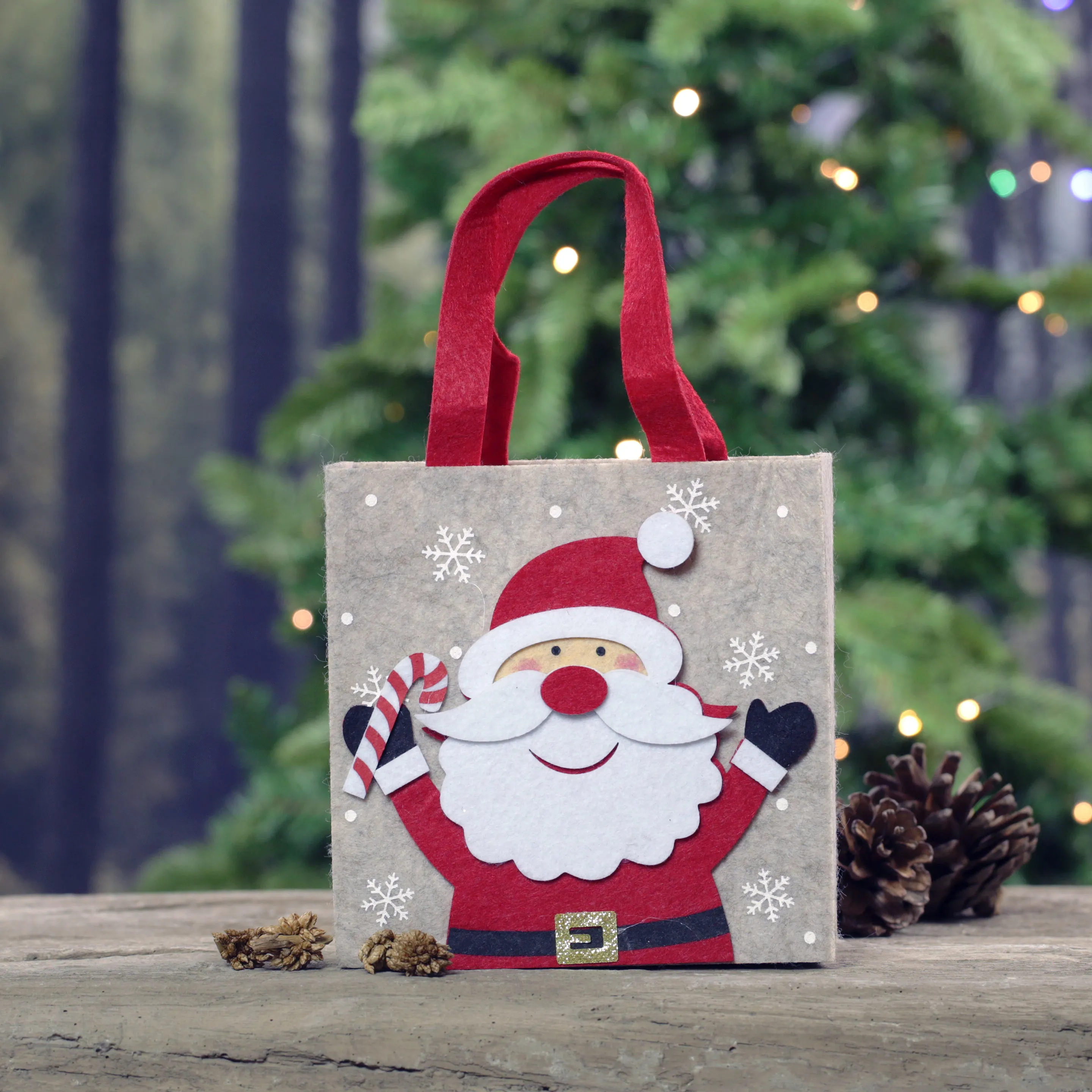 Felt Christmas Bag