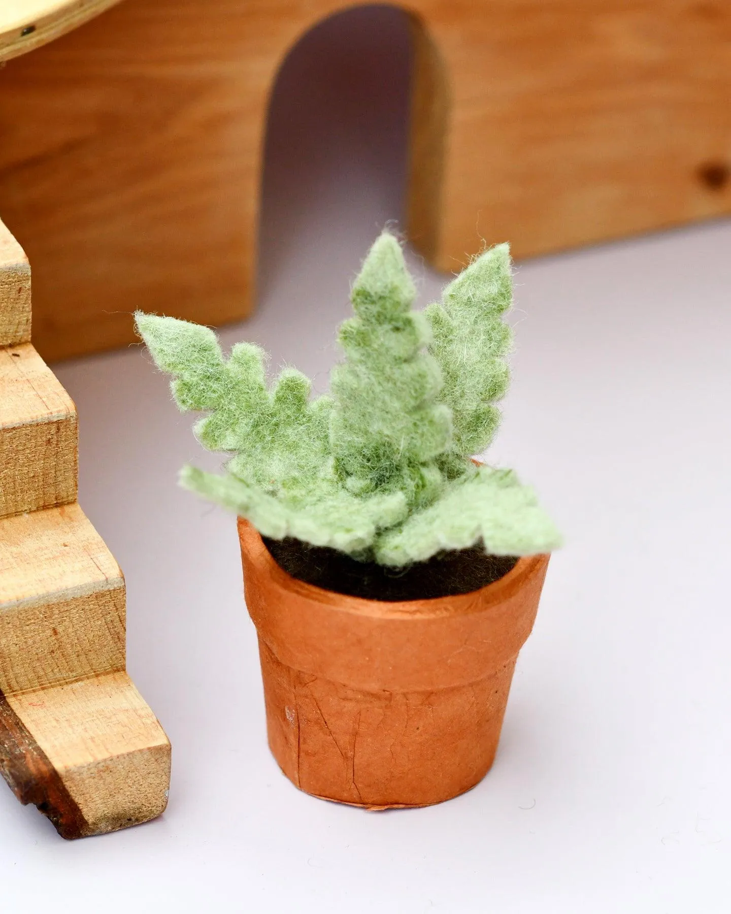 Felt Silver Fern with Lokta Paper Pot