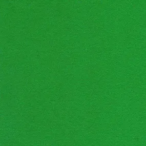 Wool Felt Sheet in Green